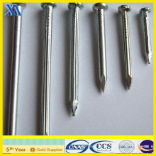 Galvanized Building Nails From Factory (XA-CN002)